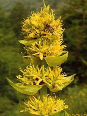 �������� ��������: ��������� ������.